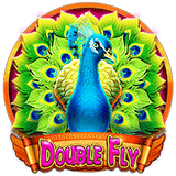Double Fly